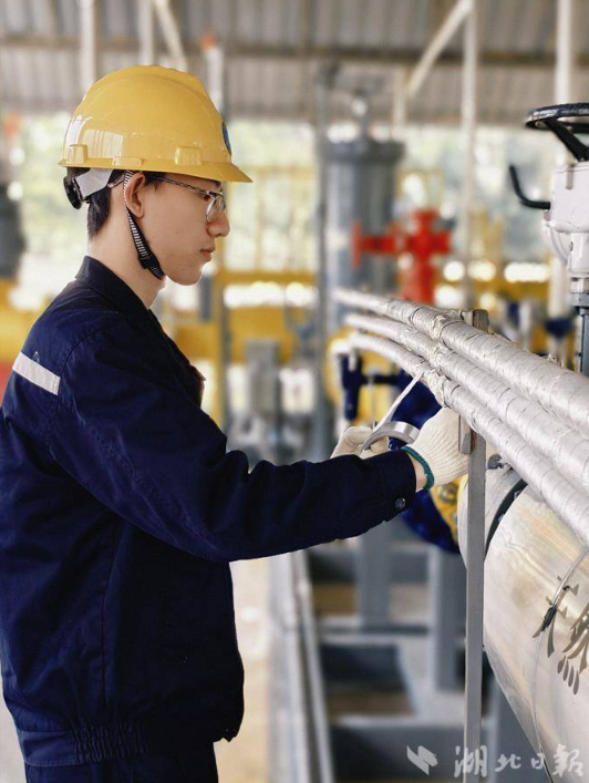 1733117074015034038.jpg 1733117033372.jpg